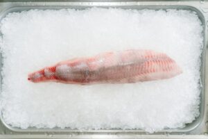 דגים טריים יכולים בדרך כלל להישמר במקרר למשך 1-2 ימים, תלוי בסוג הדג ובתנאי האחסון.